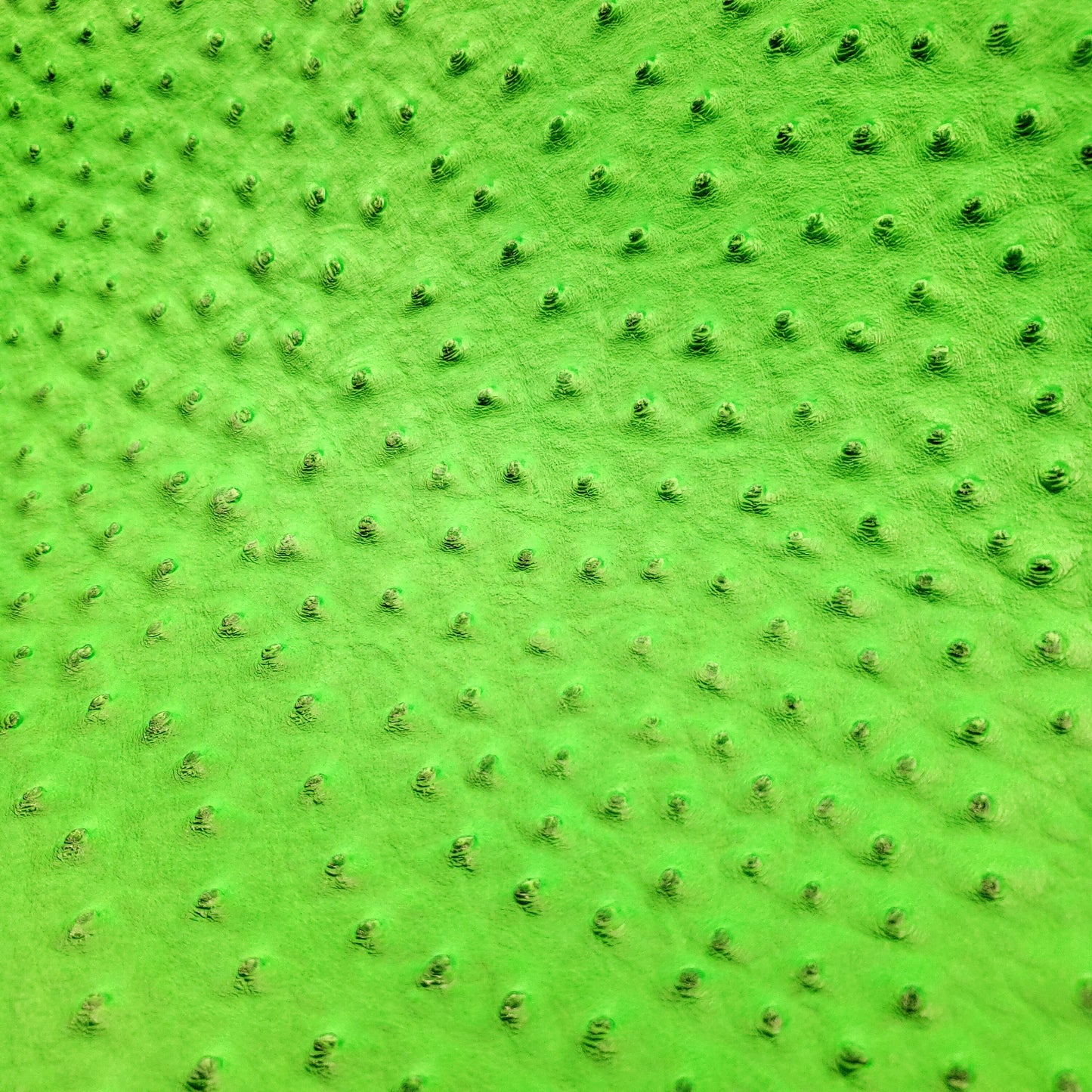 NEON HIGHLIGHTER GREEN OSTRICH VINYL