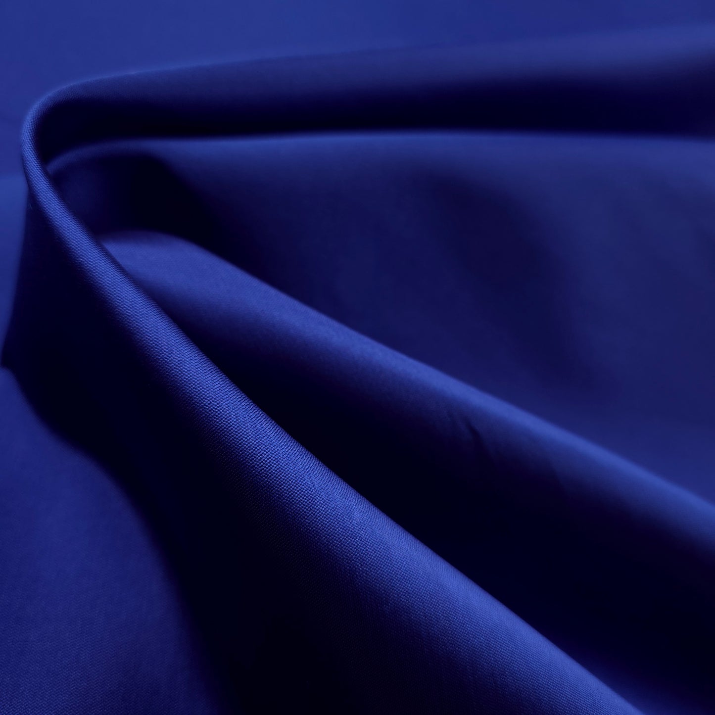 BLUE ROYAL MIKADO