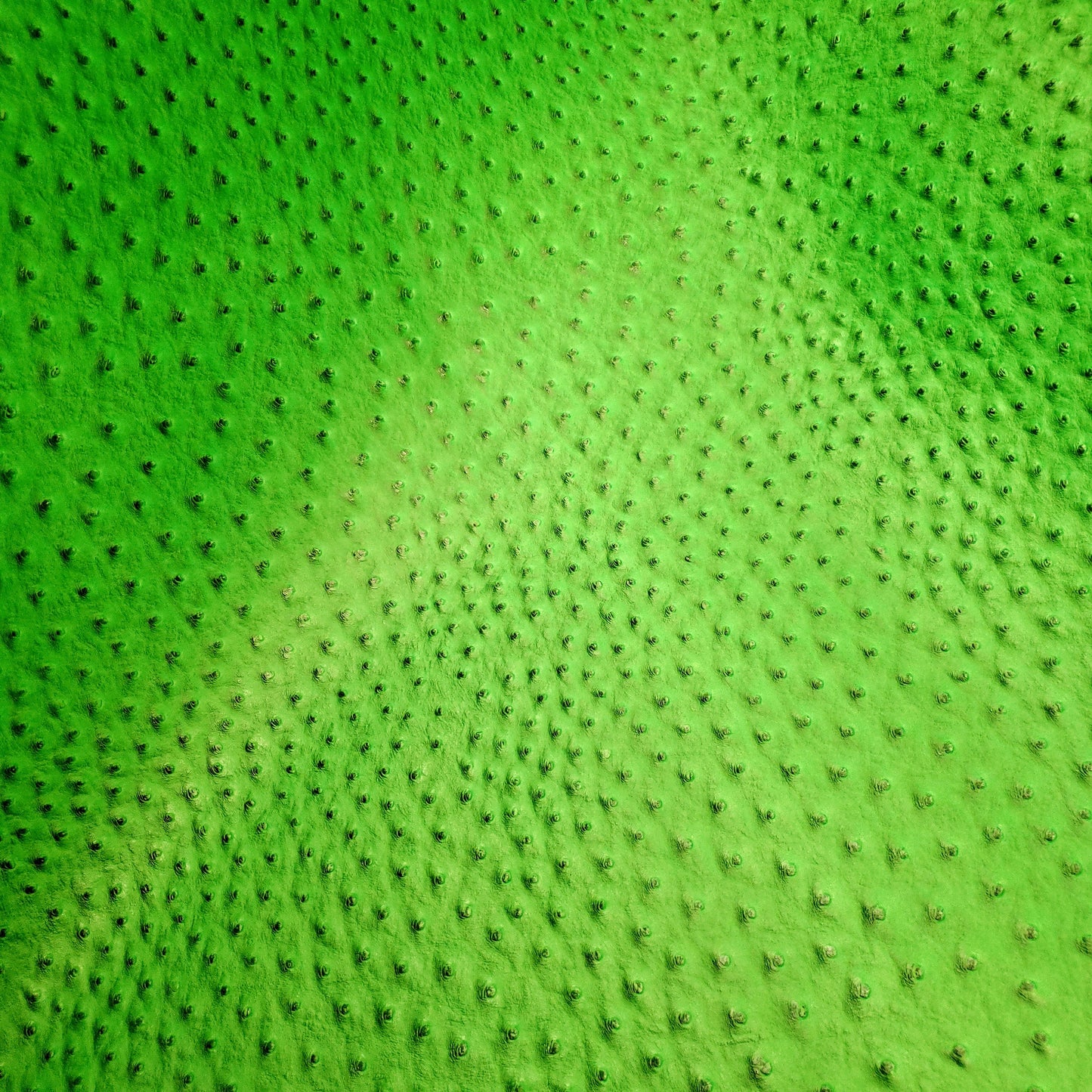 NEON HIGHLIGHTER GREEN OSTRICH VINYL