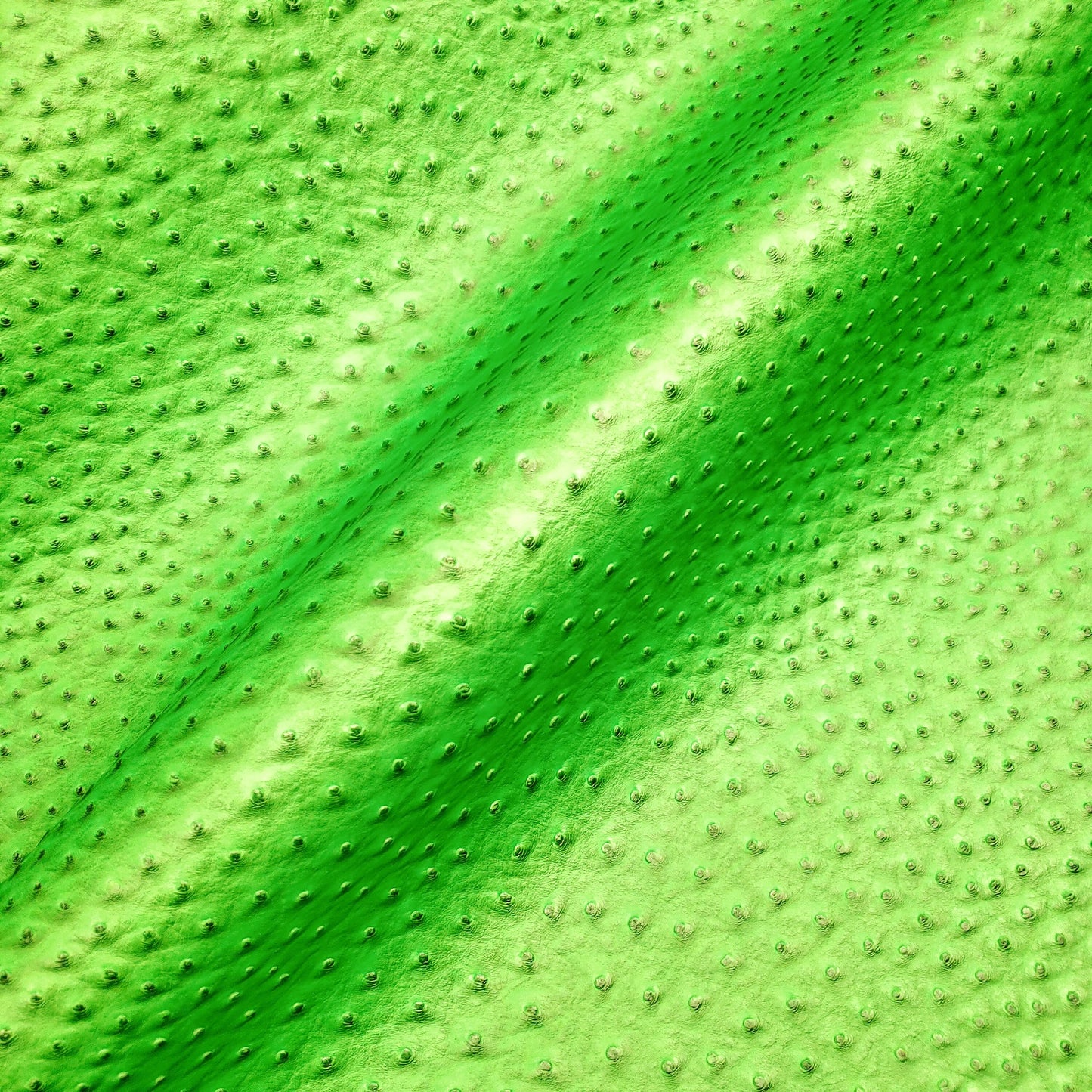 NEON HIGHLIGHTER GREEN OSTRICH VINYL