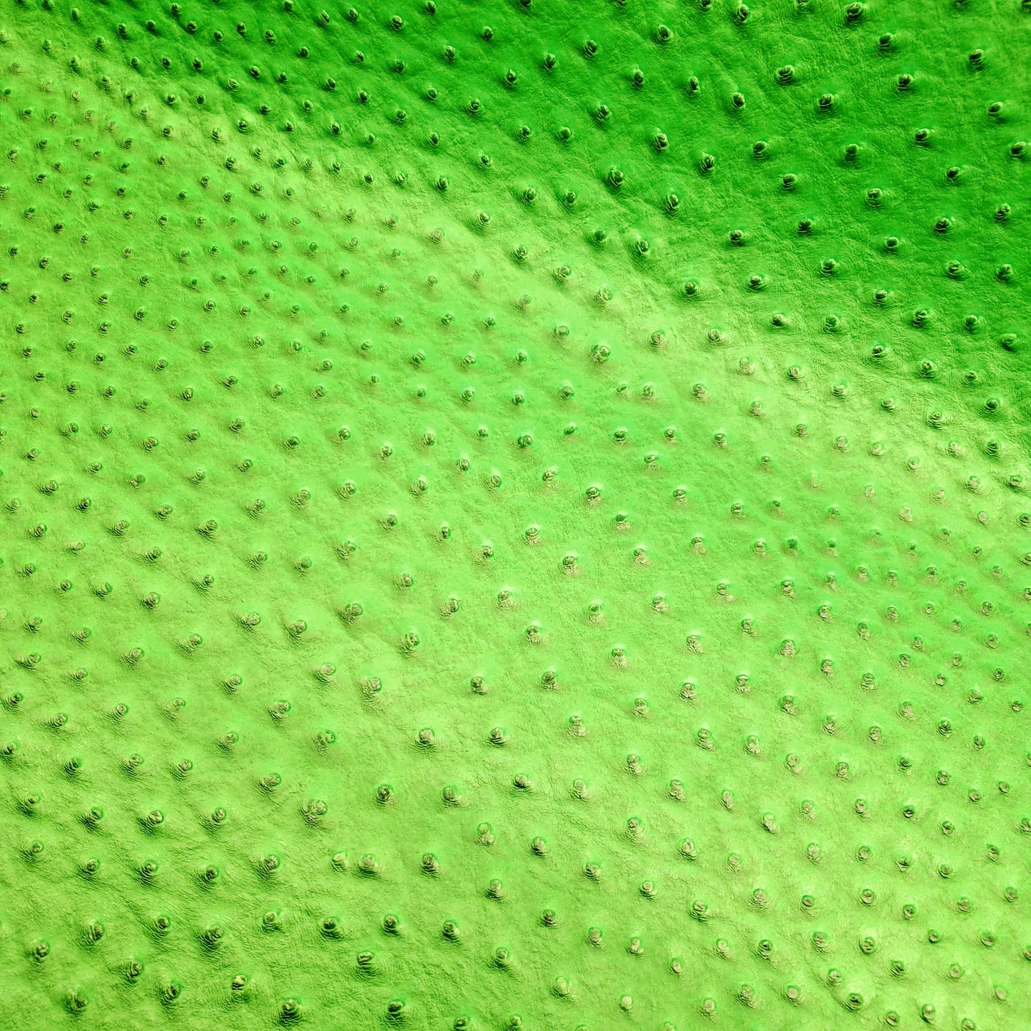 NEON HIGHLIGHTER GREEN OSTRICH VINYL
