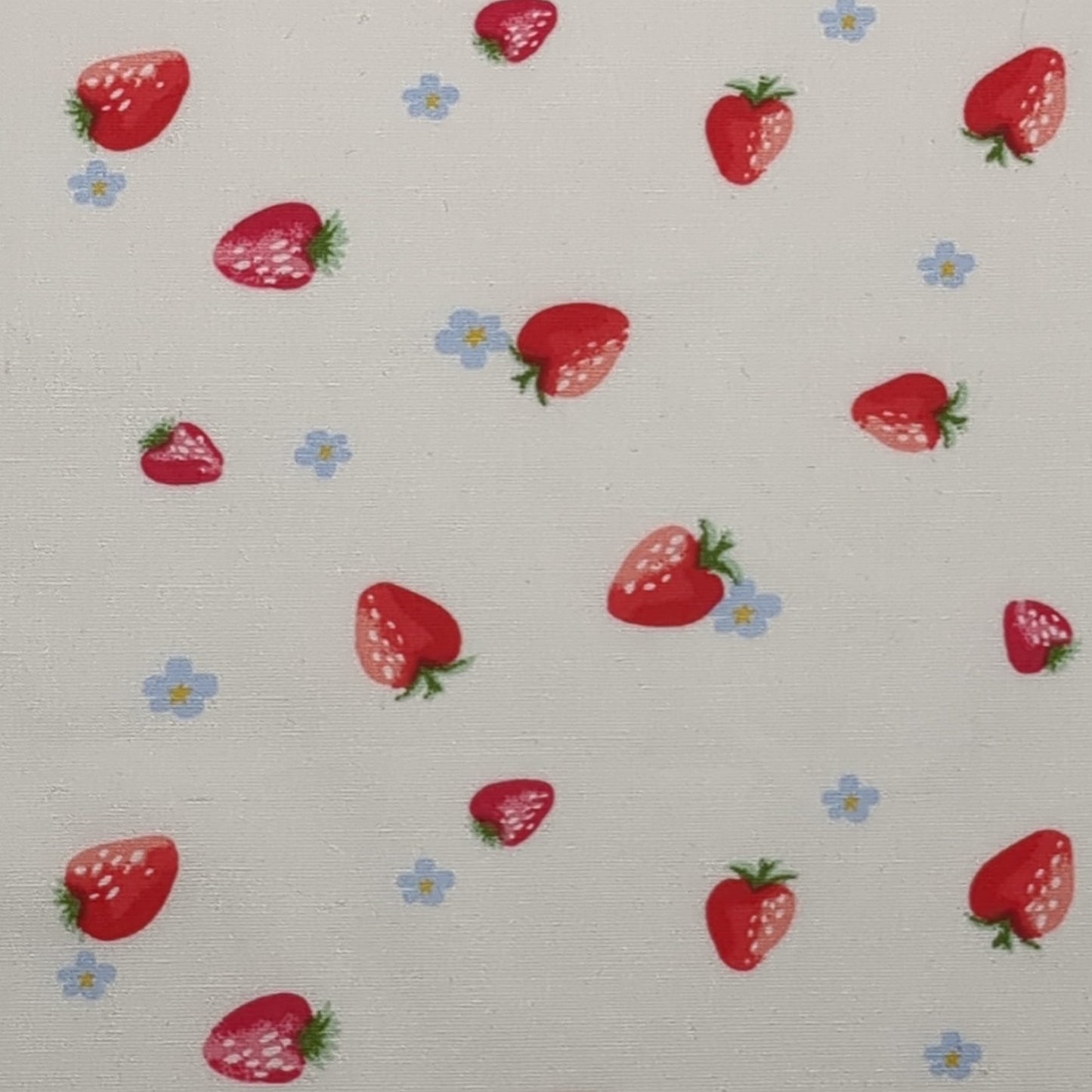 SUMMER STRAWBERRY STRETCH COTTON