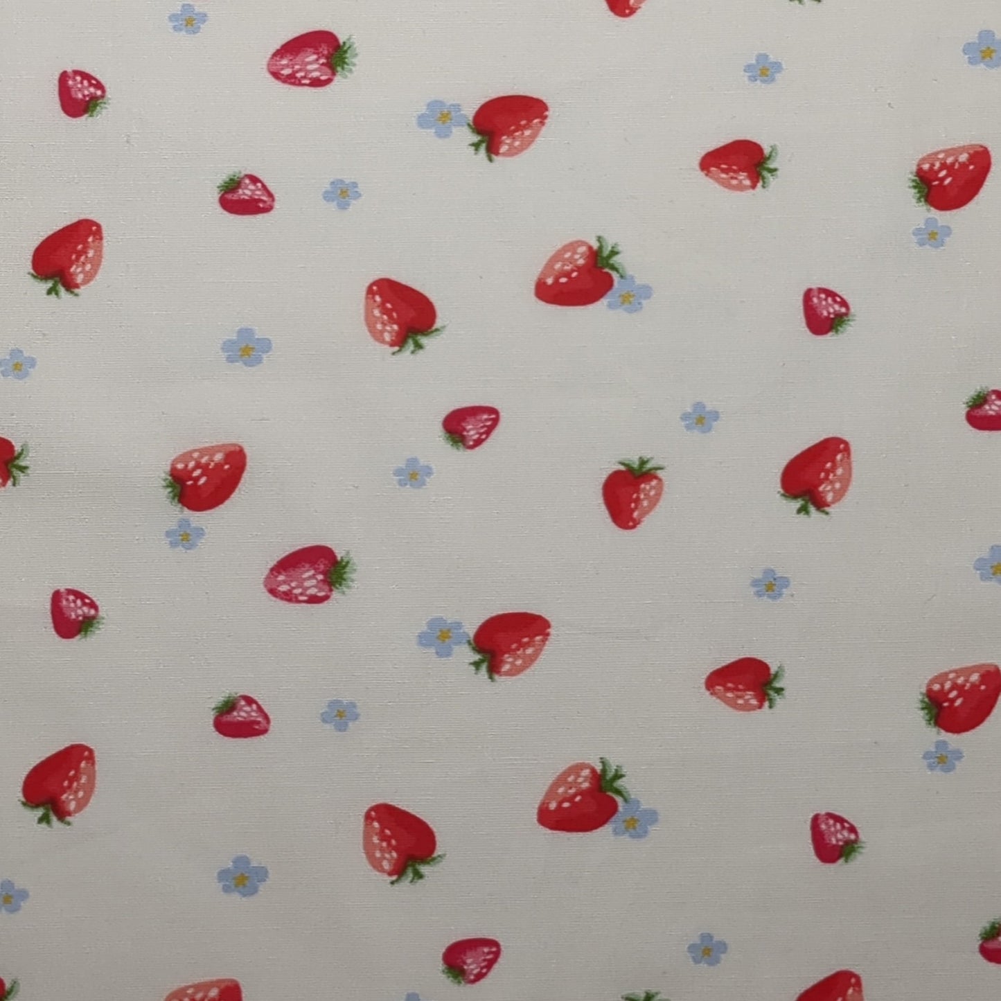 SUMMER STRAWBERRY STRETCH COTTON