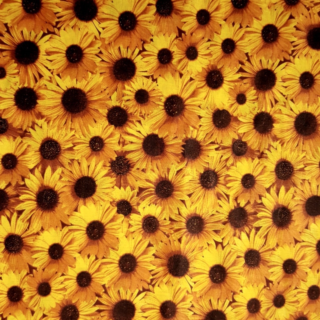 YELLOW SUNFLOWER ALL OVER