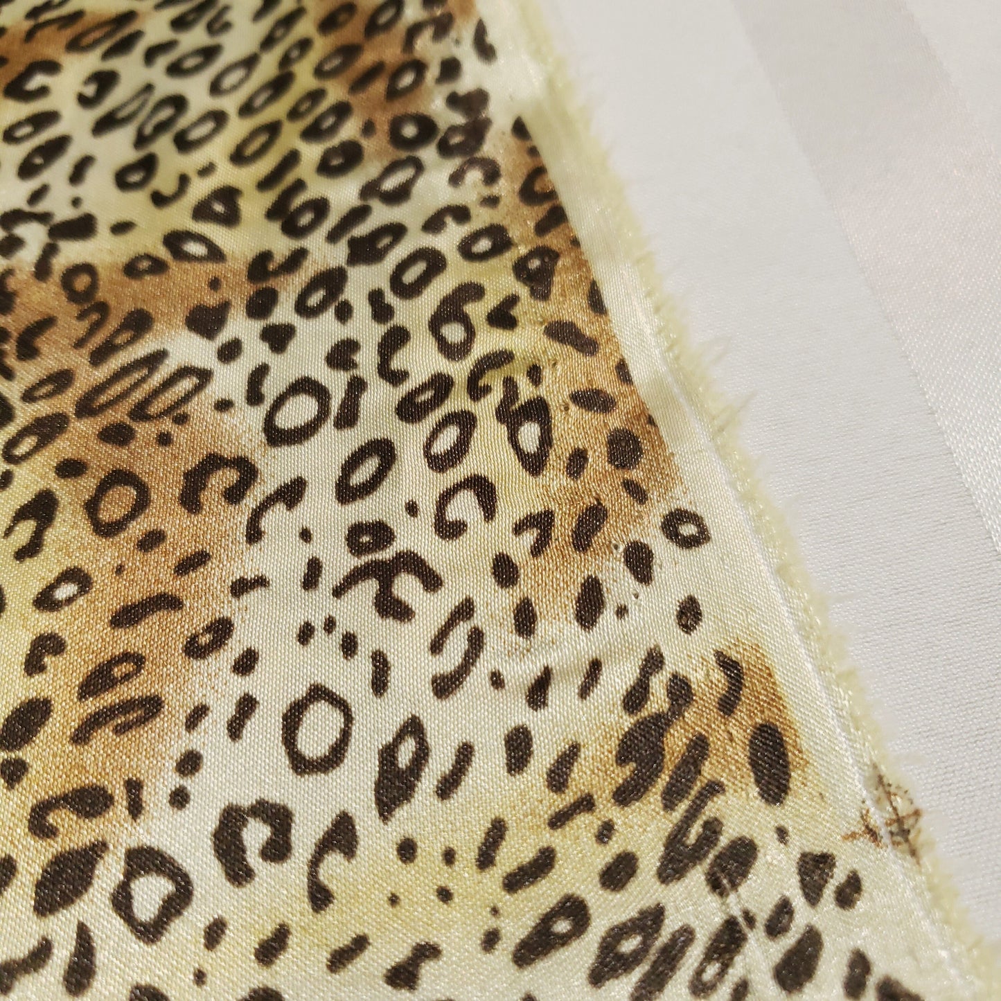 CHEETAH SPOT SMALL BROWN PRINT