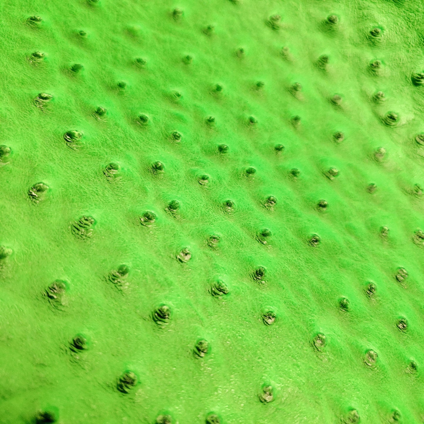 NEON HIGHLIGHTER GREEN OSTRICH VINYL