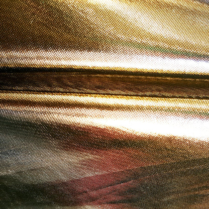 GOLD METALLIC TISSUE LAME