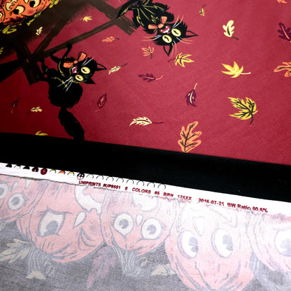 VINTAGE HALLOWEEN CAT PUMPKIN BORDER