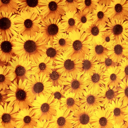 YELLOW SUNFLOWER ALL OVER
