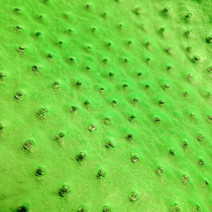 NEON HIGHLIGHTER GREEN OSTRICH VINYL